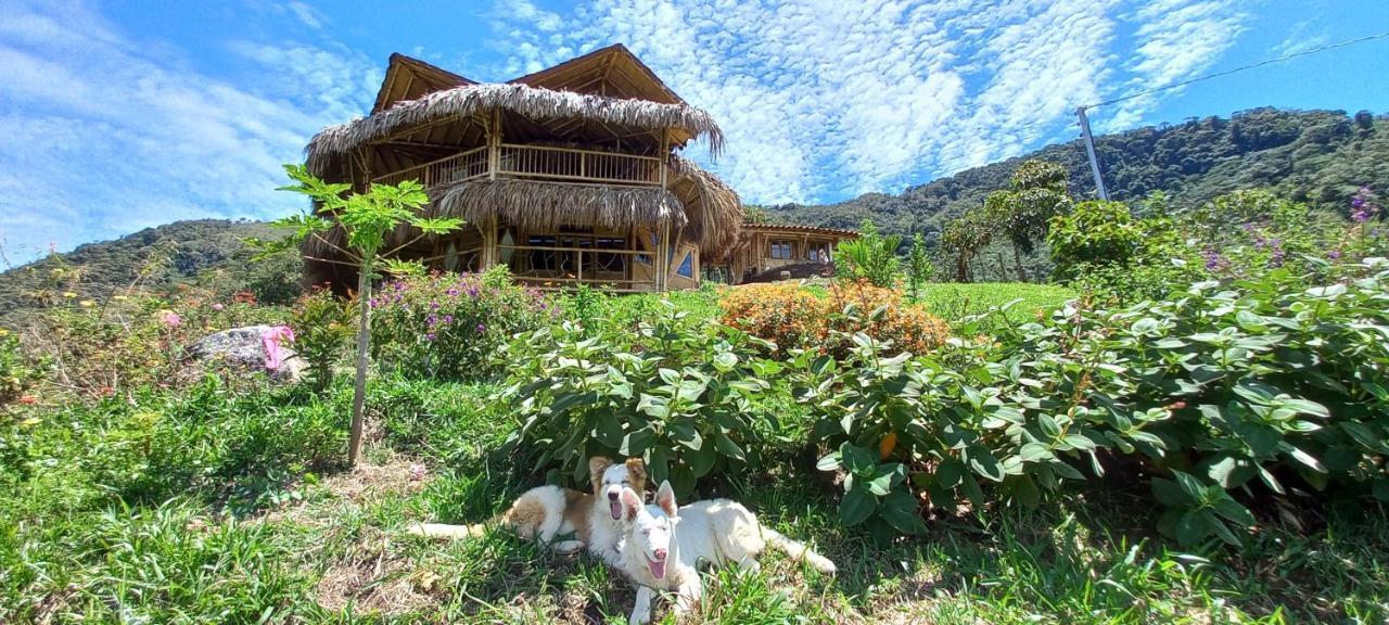 Ecohotel Soplo Del Tambo ココルナ エクステリア 写真
