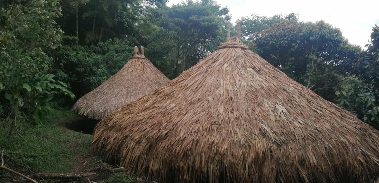 Ecohotel Soplo Del Tambo ココルナ エクステリア 写真